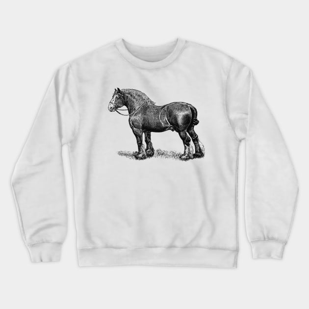 Draft Horse - Black and White Illustration Crewneck Sweatshirt by Biophilia